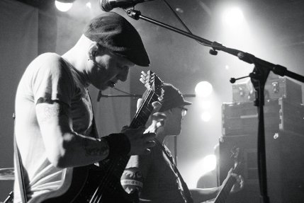 the wombats